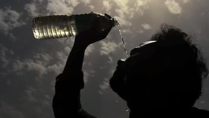 இனி தமிழகத்தில் வெயில் சுட்டெரிக்கப்போகுதாம்! பனிமூட்டம் எப்படி இருக்கும்? வானிலை மையம் முக்கிய தகவல்! 