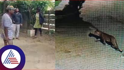 ಎಲೆಕ್ಟ್ರಾನಿಕ್ ಸಿಟಿಗೂ ಬಂತು ಚಿರತೆ, ಆತಂಕದಲ್ಲಿ ಐಟಿ ಬಿಟಿ ಉದ್ಯೋಗಿಗಳು!