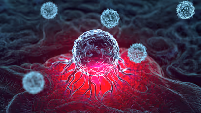 ക്യാന്‍സര്‍ സാധ്യത കുറയ്ക്കാന്‍ സഹായിക്കുന്ന മൂന്ന് സുഗന്ധവ്യജ്ഞനങ്ങൾ