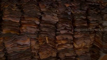 രണ്ട് മാസമായുള്ള മോഹവിലയ്ക്കൊടുവിൽ കൂപ്പുകുത്തി റബ്ബർ വില; കർഷകർക്ക് നിരാശ