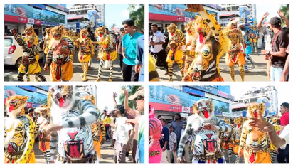 'മേയറുടെ വാദം തെറ്റ്'; പുലിക്കളിയുമായി ബന്ധപ്പെട്ട് വിവാദങ്ങളിലേക്ക് വലിച്ചിഴയ്ക്കരുതെന്ന് സീതാറാം മില് ദേശം