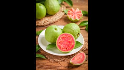 தினமும் 1 கொய்யா போதும்! பல நோய்களை தடுக்கலாம்!