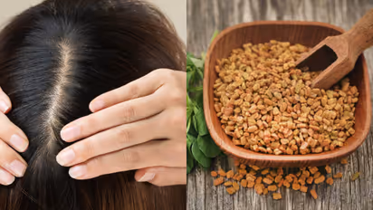 തലമുടി കൊഴിച്ചില്‍ തടയാന്‍ പരീക്ഷിക്കാം ഉലുവ കൊണ്ടുള്ള ഹെയര്‍ പാക്കുകള്‍