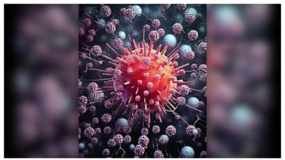 എന്താണ് എംപോക്സ്? ഒരു പ്രാദേശിക രോ​ഗം ആ​ഗോള പ്രശ്നമായതെങ്ങനെ? ലക്ഷണങ്ങളും മുൻകരുതലുകളും അറിയാം