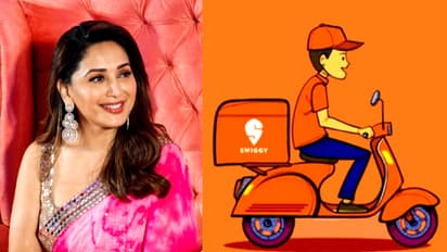 माधुरी दीक्षित ने स्विगी में लगाई 1.5 Cr की दांव, क्या IPO से पहले बनेगा मुनाफा?