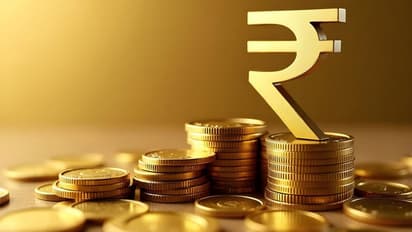 पुष्य नक्षत्रात सोने खरेदी: ₹१ मध्ये गुंतवणूक करा