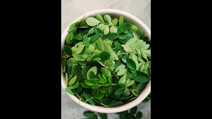 ಆರೋಗ್ಯಕ್ಕಾಗಿ ತಿನ್ನಲೇಬೇಕಾದ ನುಗ್ಗೆ ಸೊಪ್ಪು ಕ್ಲೀನ್ ಮಾಡಲು ಬೆಸ್ಟ್ ಟಿಪ್ಸ್