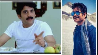 నాగార్జున తో సినిమా.. నో చెప్పిన హీరోయిన్,  సునిల్ తో తన బాధ చెప్పుకున్న కింగ్ 