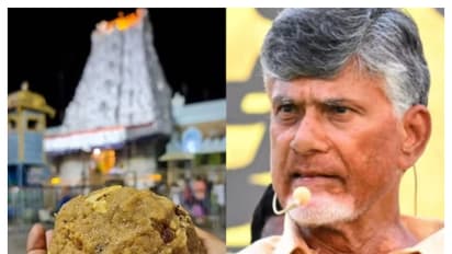 Tirupati Laddu : திருப்பதி லட்டுவில் மாட்டு கொழுப்பு, மீன் எண்ணெய்: ஆய்வு அறிக்கையால் பக்தர்கள் அதிர்ச்சி!