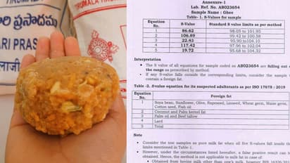 'Animal fat' in Tirupati laddoos: Health Minister Nadda seeks report, says will take suitable action (WATCH)