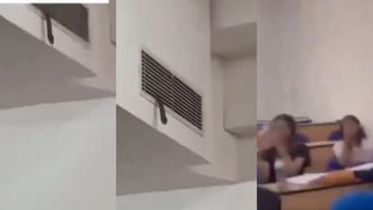 'ക്ലാസൊക്കെ കൃത്യമായി നടക്കുന്നുണ്ടോ?'എസി വെന്റിലൂടെ ക്ലാസ് മുറിയിലേക്ക് പാമ്പ്, ഭയന്ന് വിദ്യാർത്ഥികൾ - വീഡിയോ