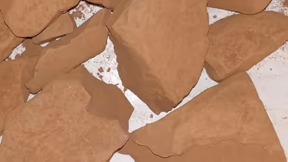 'ചെളി കഴിച്ചാൽ ആരോ​ഗ്യം കൂടും, പ്രായം കുറയും', വില 2200 രൂപ വരെ, വൈറൽ ട്രെൻഡ്, വിമർശനങ്ങൾ പിന്നാലെ