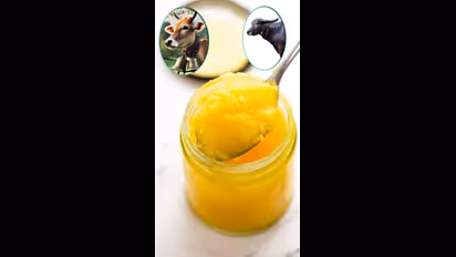 Karnataka govt issues order to use Nandini ghee at all 34,000 temples amid Tirupati laddu row