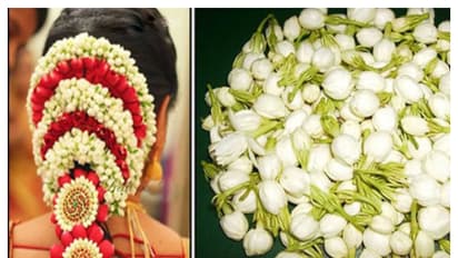 பெண்கள் தினமும் இதை செஞ்சாலே போதும்: தொலைந்துபோன லட்சுமியின் அருள் வீட்டில் நிரந்தரமா கிடைச்சிடும்