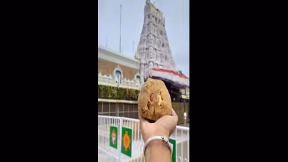 லட்டு மூலம் மட்டும் திருப்பதி கோயிலுக்கு இத்தனை கோடி வருமானம் கிடைக்கிறதா?