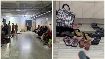 രക്ഷയില്ല, അഞ്ചാം നിലയിൽ വരെയെത്തി! നവജാത ശിശുക്കളുടെ ഐസിയുവിനടുത്തും പാമ്പ്, ഭയന്ന് രോഗികളും ജീവനക്കാരും