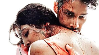 മാളവിക മോഹനൻ ക്ലിക്കായോ ബോളിവുഡില്‍?, എത്ര നേടി യുദ്ധ്ര? ഓപ്പണിംഗ് തുക