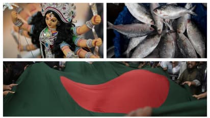 Bangladesh reverses hilsa export ban to India, approves 3,000 tonnes of shipment just in time for Durga Puja