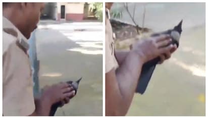 വൈദ്യുതാഘാതമേറ്റ് താഴെ വീണ കാക്കയ്ക്ക് സിപിആർ നൽകി ജീവന്‍ രക്ഷിച്ച് അഗ്നിശമന സേനാംഗം; വീഡിയോ വൈറൽ 