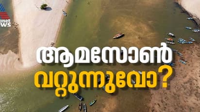 ലോകത്തിലെ ഏറ്റവും വലിയ നദിയും വരളുന്നുവോ? ആമസോണിന് സംഭവിക്കുന്നതെന്ത്? 