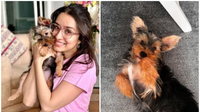 Shraddha Kapoor welcomes nanhi stree, names her 'small' (see picture)