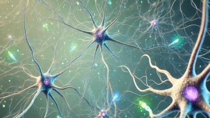 Obesity reduces testosterone and sperm count by disrupting brain circuits, new study reveals