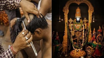 What happens to the 500-600 tons of hair donated at Tirupati Balaji Temple? Know SURPRISING details