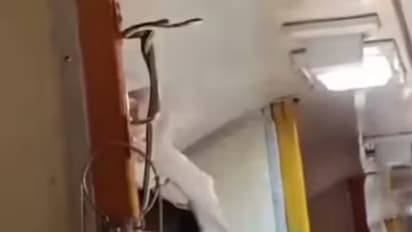 Snake on train: Panic grips passengers on Jabalpur-Mumbai Garib Rath Express (WATCH)