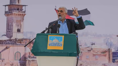 Is Yahya Sinwar DEAD or ALIVE? Israel probes Hamas chief's sudden disappearance