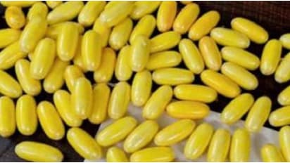 വിമാന ലാൻഡിംഗിന് തൊട്ടുമുമ്പ് യുവതി 124 രഹസ്യ ക്യാപ്സ്യൂളുകൾ വിഴുങ്ങി; വില 9.73 കോടി, പദ്ധതി പൊളിച്ച് ഡിആർഐ