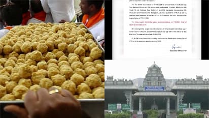 തിരുപ്പതി ലഡ്ഡുവിന് ശുദ്ധമല്ലാത്ത നെയ്യ് ഉപയോഗിച്ചിട്ടില്ല , തിരുമല തിരുപ്പതി ദേവസ്ഥാനം  റിപ്പോര്‍ട്ട് നല്‍കി