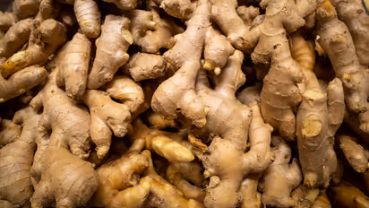 সুস্থ থাকতে নিয়মিত আদা খান, জেনে নিন কোন উপায় দূর হবে একাধিক জটিলতা