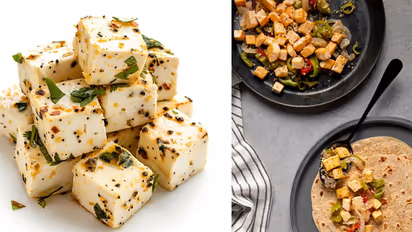 8 Easy paneer dishes kids will love: Perfect for every meal of the day