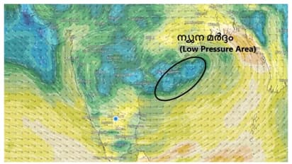 കേരളത്തിൽ അടുത്ത 7 ദിവസങ്ങളിൽ ഇടത്തരം മഴയ്ക്ക് സാധ്യത; 2 ദിവസം ഒറ്റപ്പെട്ടയിടത്ത് മഴ ശക്തമായേക്കും