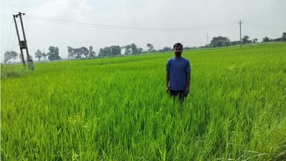 Corporate Career to Farming Success: Dushyant Kumar Singh's inspiring journey in natural farming