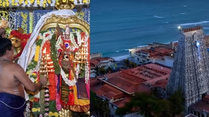 திருச்செந்தூர், ராமேசுவரத்தை அடுத்து பழநி முருகன் கோவிலில் பக்தர் உயிரிழப்பு! கலங்கிய அண்ணாமலை!