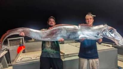 ಕರಾವಳಿಯಲ್ಲಿಅತೀ ಅಪರೂಪದ 'ಡೂಮ್ಸ್ ಡೇ ಫಿಶ್' ಪತ್ತೆ: ಇದಕ್ಕೂ ಪ್ರಾಕೃತಿಕ ವಿಕೋಪಕ್ಕೂ ಇದೆ ಸಂಬಂಧ!