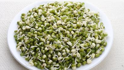 sprouted moong 