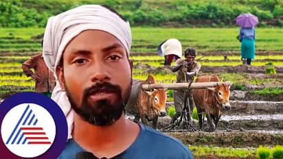 ಬೆಂಗಳೂರಿನ ಕೆಲಸ ಬಿಟ್ಟು ಮಣ್ಣಿಗಿಳಿದ ಇಂಜಿನಿಯರ್, ಭತ್ತ ಬೆಳೆದು ಲಕ್ಷಾಂತರ ಸಂಪಾದನೆ 