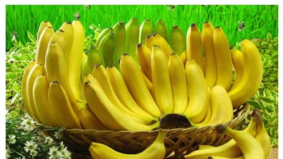 ಬಾಳೆಹಣ್ಣು ತಿಂದ ನಂತರ ನೀರು ಕುಡಿಯಬಾರದು ಏಕೆ, ಕುಡಿದರೆ ಏನಾಗುತ್ತೆ?
