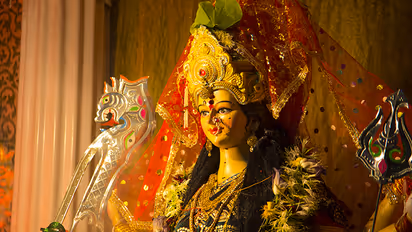 Navratri 2024 Day 1: Know colour of the day, shubh muhurat, ritual and bhog for Mata Shailputri