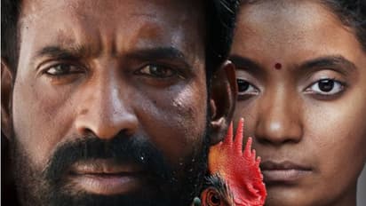 അന്നാ ബെന്നിന്റെ കൊട്ടുകാളി ഒടുവിൽ ഒടിടിയില്‍ പ്രദര്‍ശനത്തിന്