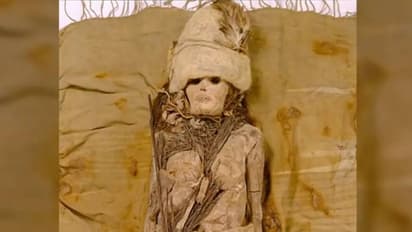 മമ്മിയായി മൃതദേഹം, മരണാനന്തരജീവിതത്തിൽ കഴിക്കാൻ ചീസ്, 3600 -ലധികം വർഷം പഴക്കം 