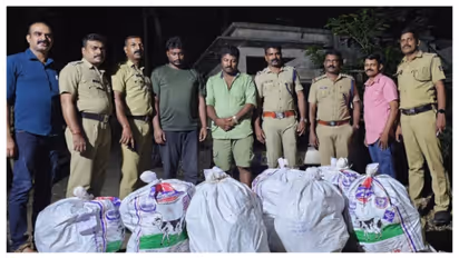 കാറിനെക്കുറിച്ച് രഹസ്യവിവരം, പരിശോധിച്ച് സ്പെഷൽ സ്ക്വാഡ്; പിടികൂടിയത് 137 കിലോ കഞ്ചാവ്; 2 പേര് അറസ്റ്റില്