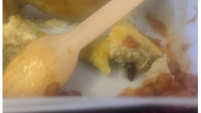 വിമാനത്തിൽ 2 വയസുകാരിക്ക് നൽകിയ ഓംലെറ്റിന്റെ അവസ്ഥ, ചിത്രങ്ങൾ പുറത്തുവിട്ട് യാത്രക്കാരി; പ്രതികരിച്ച് കമ്പനി