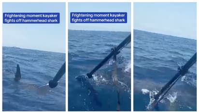 നടുക്കടലില്‍ സ്രാവുമായി ജീവന്‍മരണ പോരാട്ടം നടത്തി കയാക്കര്‍; ഭയപ്പെടുത്തുന്ന വീഡിയോ വൈറല്‍