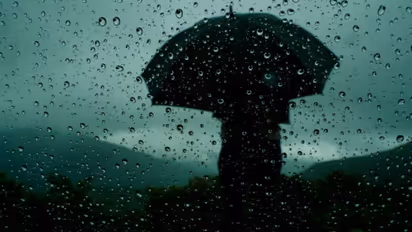 Heavy rains in Tamil Nadu: Schools, colleges closed; IT companies asked to implement WFH