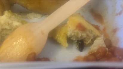 SHOCKING! Woman finds cockroach in Air India flight meal, her 2-year-old son falls sick; WATCH viral video