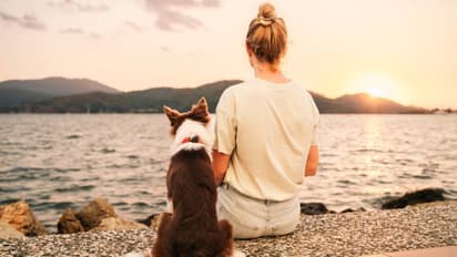 വേറെ ലെവൽ പ്രതികാരം; നായയെ വിഷം കൊടുത്തു കൊന്നയാളെ ജയിലിലാക്കാൻ നിയമം പഠിച്ച് ഉടമ