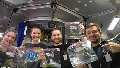 45 days on 'Mars': How 4 scientists survived brutal reality of life on Red Planet during NASA's simulation